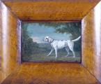 27. Portrait of a beloved Pointer.. by  